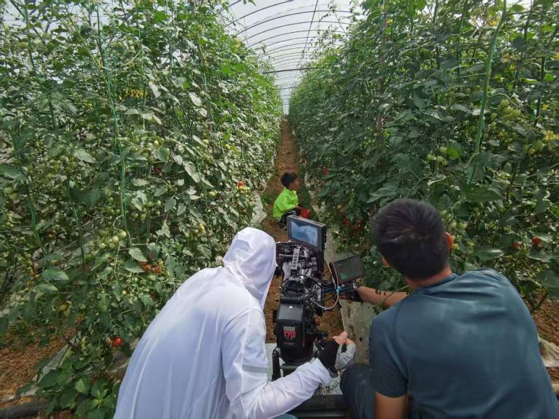 咸阳产品宣传视频拍摄公司进阶指南，助力品牌抢占传播高地